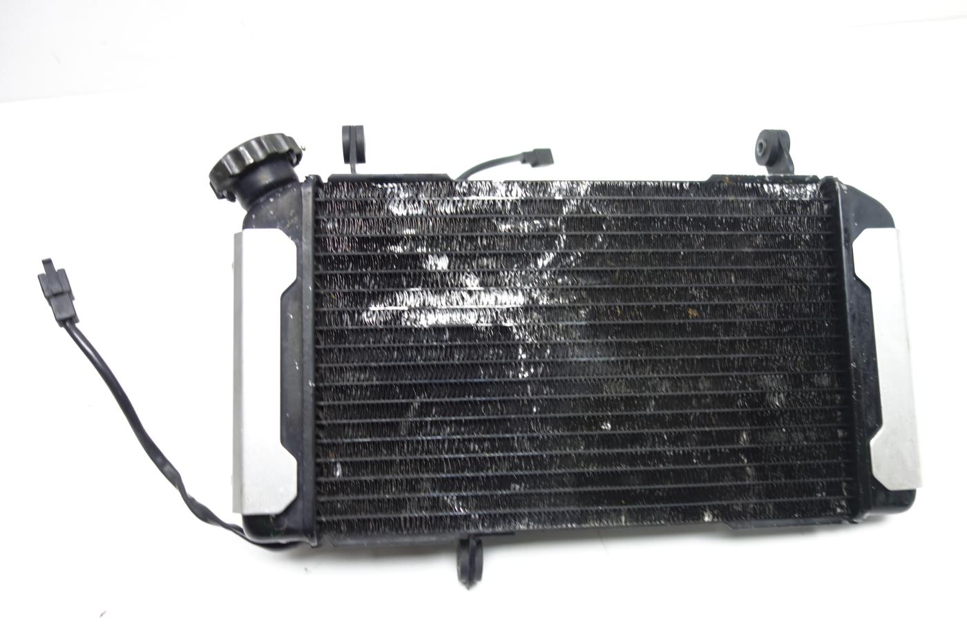 Suzuki SV 650 N Kühler