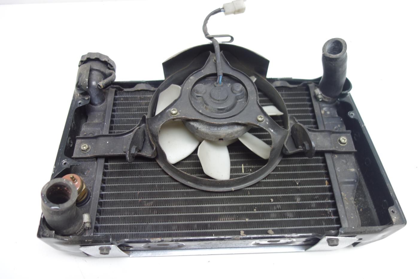 Honda VF750C VF 750 C Kühler Kühlerblende